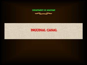 DEPARTMENT OF ANATOMY INGUINAL CANAL HERNIAS HISTORIC FIRSTS