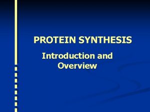 PROTEIN SYNTHESIS Introduction and Overview Protein Synthesis How