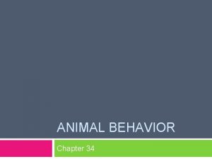 ANIMAL BEHAVIOR Chapter 34 Behavior The way an