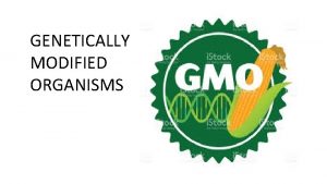 GENETICALLY MODIFIED ORGANISMS Definition History Production Advantages Disadvantages
