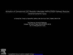 Activation of Cannabinoid CB 2 ReceptorMediated AMPKCREB Pathway