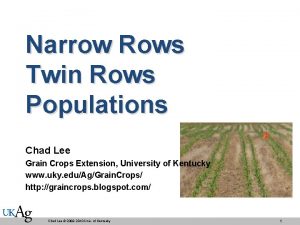 Narrow Rows Twin Rows Populations Chad Lee Grain
