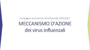 Campagna vaccinazione antinfluenzale 2020 2021 MECCANISMO DAZIONE dei