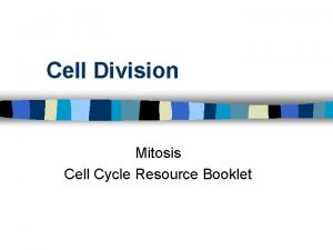Cell Division Mitosis Cell Cycle Resource Booklet Interphase