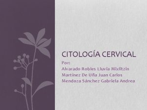 CITOLOGA CERVICAL Por Alvarado Robles Lluvia Mixlitzin Martnez