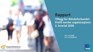 Rapport Tillegg for Blindeforbundet Profil norske organisasjoner 2