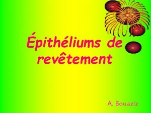 pithliums de revtement A Bouaziz pithlium Sur Thels