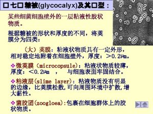 Chemical composition of some bacterial capsules Bacterium Capsule