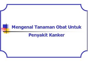 Mengenal Tanaman Obat Untuk Penyakit Kanker Kanker adalah