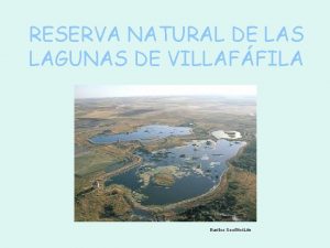 RESERVA NATURAL DE LAS LAGUNAS DE VILLAFFILA Barillos