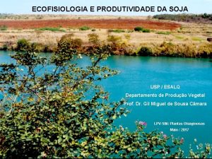 ECOFISIOLOGIA E PRODUTIVIDADE DA SOJA USP ESALQ Departamento