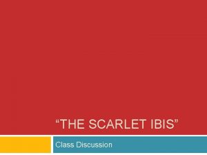 THE SCARLET IBIS Class Discussion Quickwrite Literary Devices