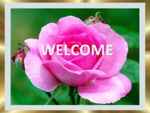 WELCOME IDENTITY KAZI MD SHAFI UDDIN M A