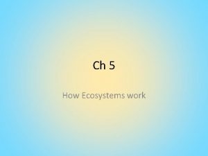 Ch 5 How Ecosystems work Energy in Ecosystems