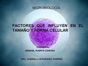 MICROBIOLOGA FACTORES QUE INFLUYEN EN EL TAMAO Y