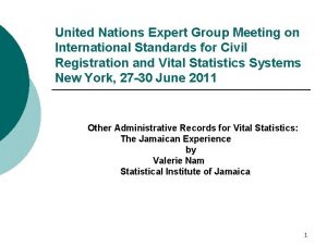 United Nations Expert Group Meeting on International Standards