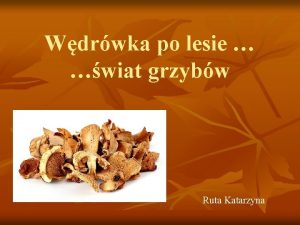 Wdrwka po lesie wiat grzybw Ruta Katarzyna Spis