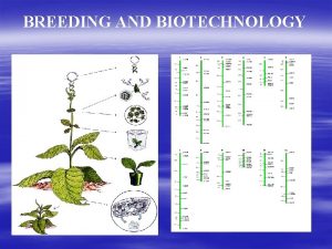 BREEDING AND BIOTECHNOLOGY Breeding Application of genetics principles