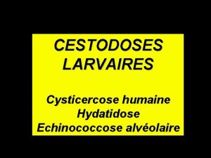 CESTODOSES LARVAIRES Cysticercose humaine Hydatidose Echinococcose alvolaire Cysticercose