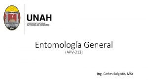 Entomologa General APV213 Ing Carlos Salgado MSc Tarea