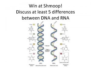 Win at Shmoop Discuss at least 5 differences