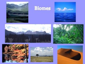 Biomes Biomes have similar latitude Tropical rain forest