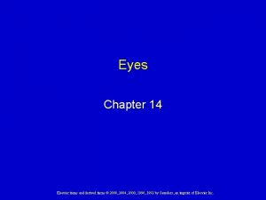 Eyes Chapter 14 Elsevier items and derived items