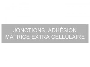 JONCTIONS ADHSION MATRICE EXTRA CELLULAIRE Plan I Jonctions