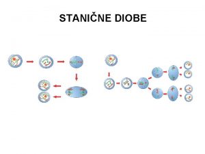 STANINE DIOBE Proitajte tekst te na prazne crte