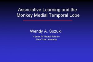 Associative Learning and the Monkey Medial Temporal Lobe