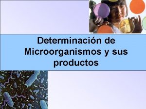 Determinacin de Microorganismos y sus productos Anlisis microbiolgicos
