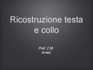 Ricostruzione testa e collo Prof Z M Arne