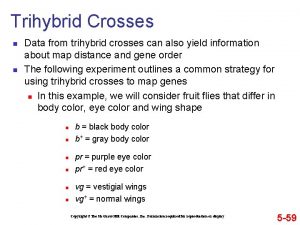 Trihybrid Crosses n n Data from trihybrid crosses