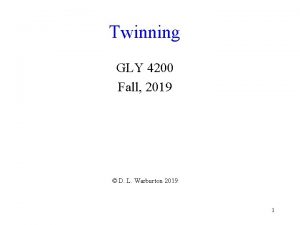 Twinning GLY 4200 Fall 2019 D L Warburton