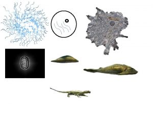 Labdien odien es jums paststu par Kpc evolcija