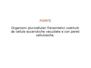 PIANTE Organismi pluricellulari fotosintetici costituiti da cellule eucariotiche