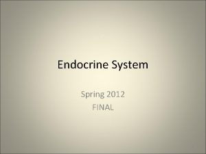 Endocrine System Spring 2012 FINAL 1 Endocrine Glands