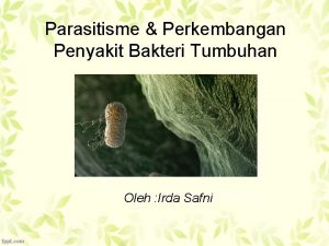 Parasitisme Perkembangan Penyakit Bakteri Tumbuhan Oleh Irda Safni