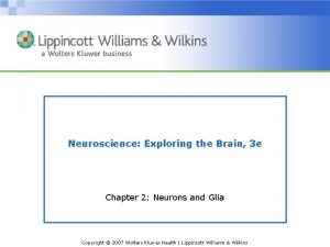 Neuroscience Exploring the Brain 3 e Chapter 2