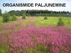 ORGANISMIDE PALJUNEMINE Koostas Kersti Veskimets MITTESUGULINE PALJUNEMINE s