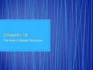 Chapter 16 worksheet the knee and related structures
