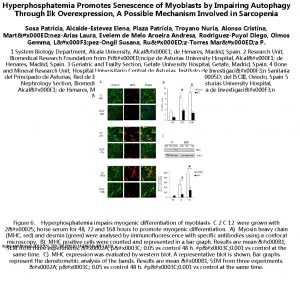Hyperphosphatemia Promotes Senescence of Myoblasts by Impairing Autophagy