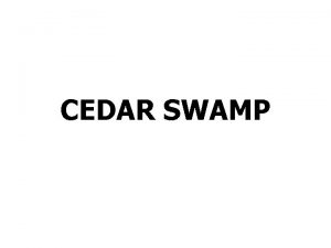 CEDAR SWAMP Way down low in the cedar