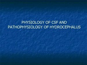 Physiology of hydrocephalus