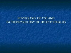 Functions of csf