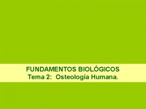 FUNDAMENTOS BIOLGICOS Tema 2 Osteologa Humana 2 4