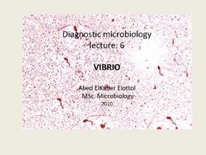 Diagnostic microbiology lecture 6 VIBRIO Abed El Kader