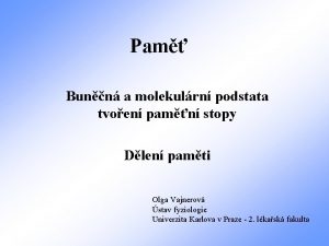 Pam Bunn a molekulrn podstata tvoen pamn stopy