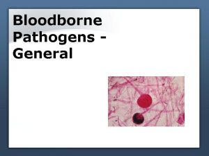 Bloodborne Pathogens General Epidemiology symptoms of bloodborne diseases