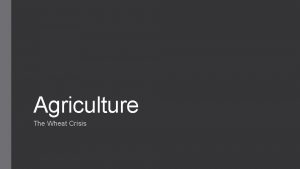 Agriculture The Wheat Crisis Agriculture economy in Lower